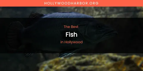 The Absolute Best Fish in Hollywood