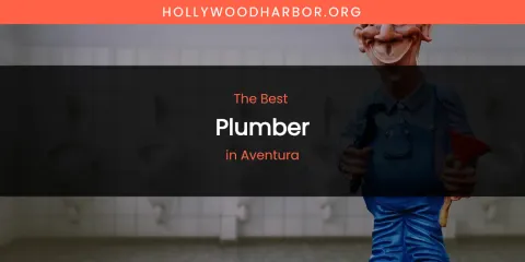 The Absolute Best Plumber in Aventura