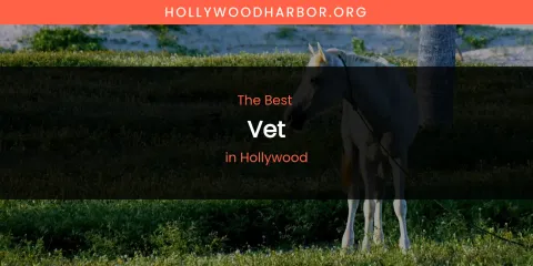 The Absolute Best Vet in Hollywood