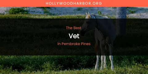 Pembroke Pines' Best Vet