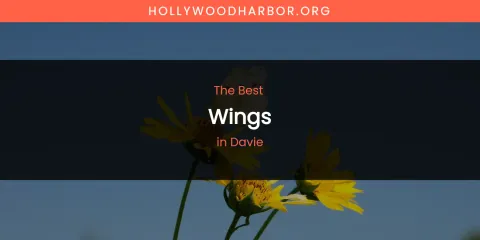 The Absolute Best Wings in Davie